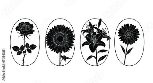 Collection of four oval botanical silhouettes featuring distinct floral designs vector