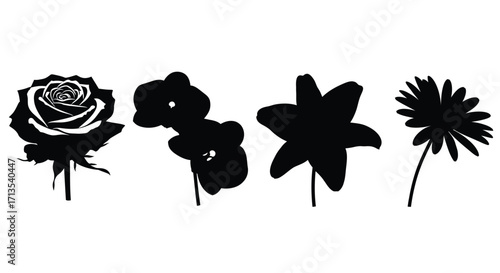 Collection of four silhouette flower designs isolated on white for artistic and decorative projects vector