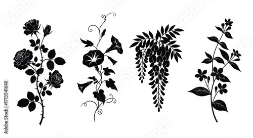 Elegant black silhouette botanical sprigs for decorative design elements vector