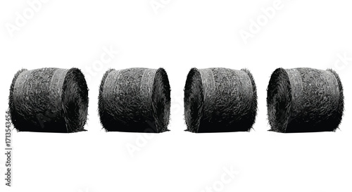 Four rustic wooden barrels lined up in a row against a clean white backdrop vector