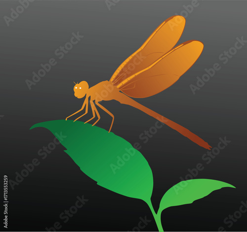 dragonfly on a leaf
