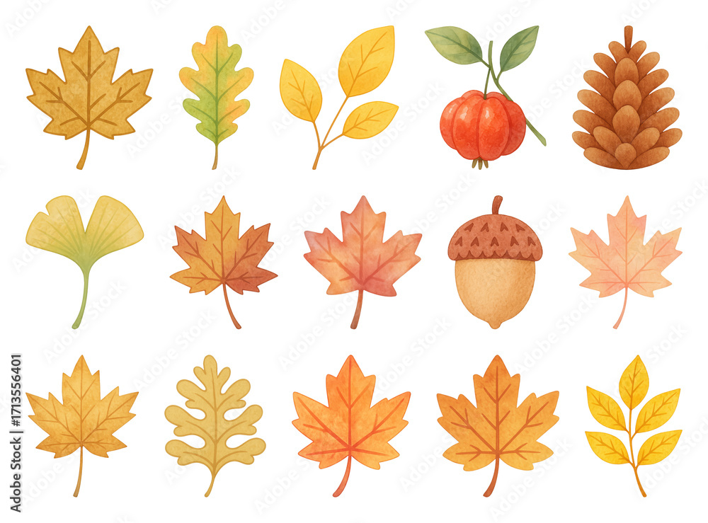 Obraz premium PNG Autumn leaves and nature icons, element set on transparent background