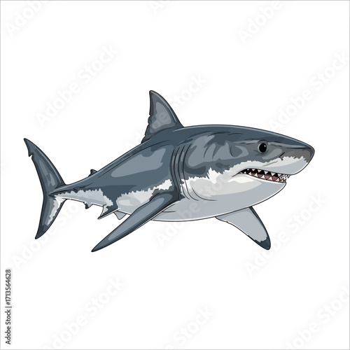Great White Shark Illustration Swimming on White Background