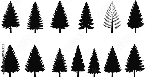 Black pine tree silhouettes, vector illustration, repeating pattern, nature design, forest background, minimalist art, Christmas tree icon, graphic element, modern decor, seasonal motif
