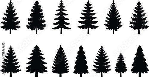 Black pine tree silhouettes, vector illustration, repeating pattern, nature design, forest background, minimalist art, Christmas tree icon, graphic element, modern decor, seasonal motif