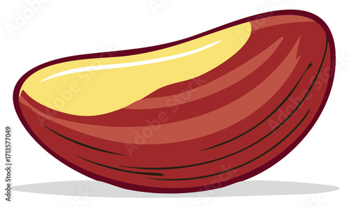 Single Brazil Nut Illustration with Shell Sections in Brown and Yellow Hues