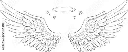 Elegant angel wings and halo sketch isolated symbol of peace purity vector