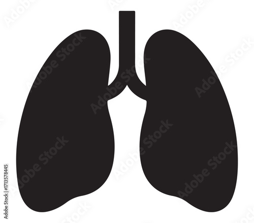 Human lungs silhouette anatomical illustration isolated on white background