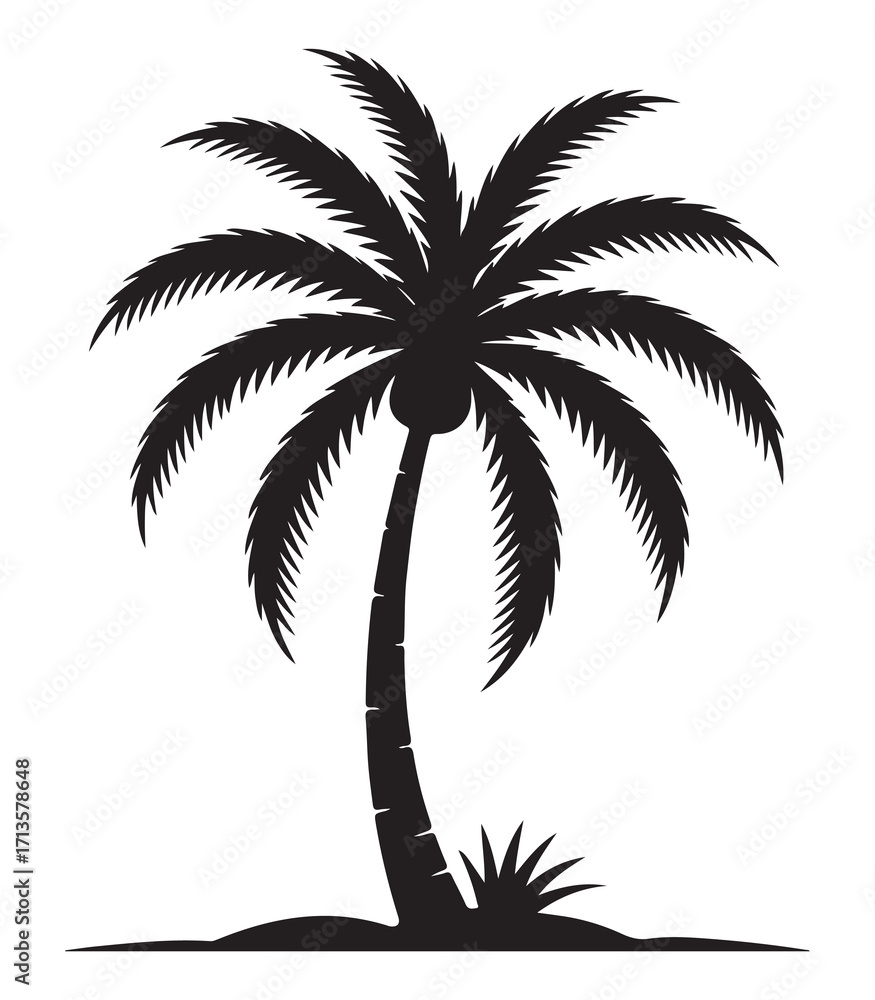 Obraz premium Stylized silhouette of a tropical palm tree isolated on a white background isolated on white background