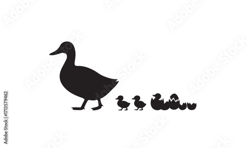 Silhouette Mother Duck with Newborn Duckling – Educational Wildlife Vector