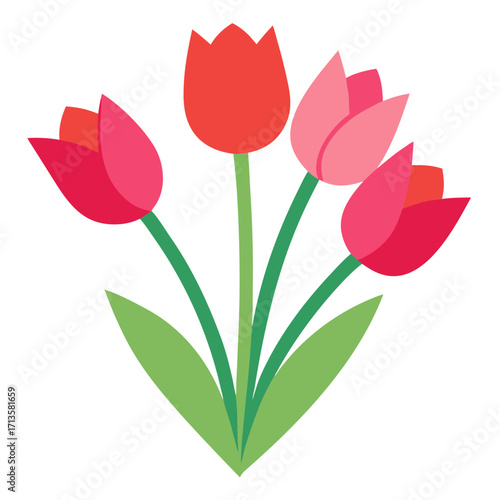 red tulips on white background