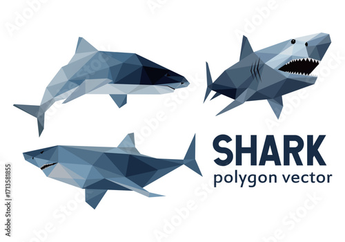 Wild Shark Animal Set in low poly polygonal. Ocean Ferocious Shark Icon in abstract logo. Vector abstract of Shark collection.