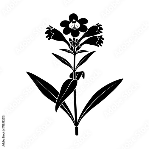 Black and white silhouette of a flowering plant with bell shaped flowers and leaves