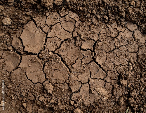 Dried, cracked earth