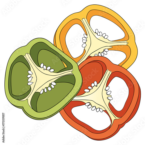 Illustration of sliced bell peppers in green yellow and red colors fresh vegetables food healthy eating concept