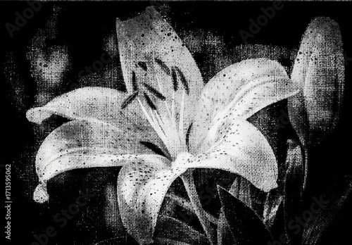 Black And White Photocopy Texture Overlay Photo Effect Distressed Paper Portrait