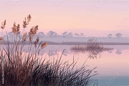 Foto Adobe Illustrator Artwork