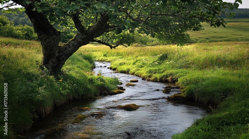 Tranquil stream under a leafy tree in a grassy meadow.  Possible use Nature background