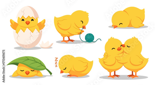 Cute Chick Characters in Various Actions and Poses