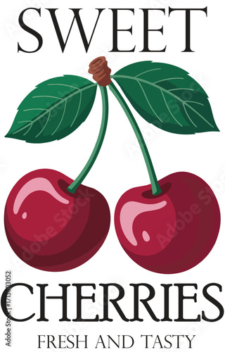 cherry vector illustration Tshirt desing