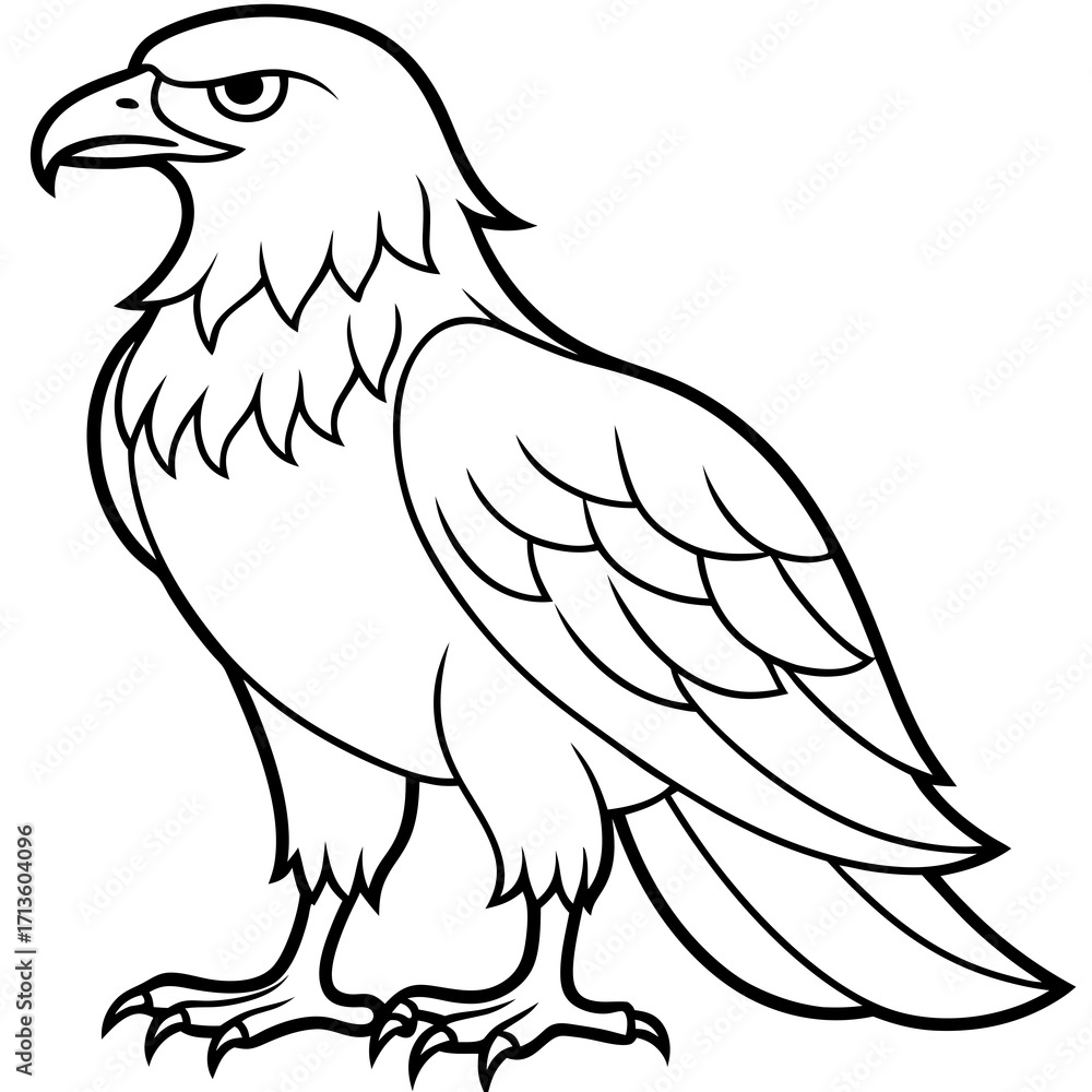 Fototapeta premium Majestic eagle full body vector illustration for scalable graphic designs and icons silhouette vector illustration white background