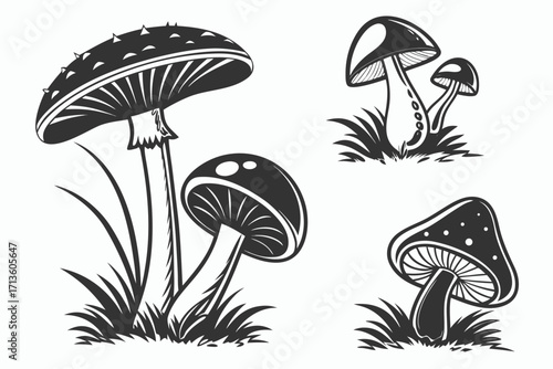 Four dark silhouette illustrations of realistic mushrooms with grass elements fungi