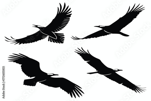 Four black silhouettes of birds of prey in flight on a white background flying wings
