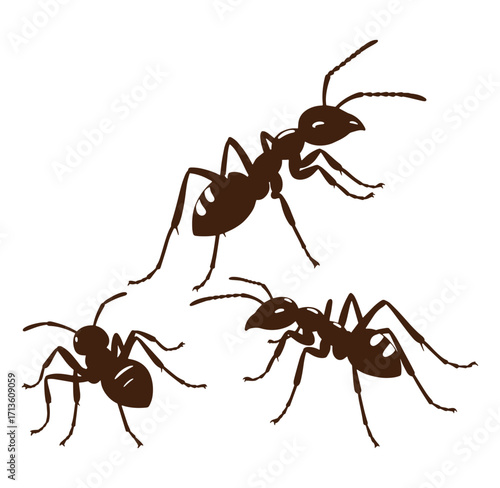 Brown silhouettes of three ants on white background representing insects and wildlife
