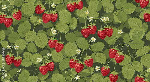 A close up view of a field of vibrant red strawberries growing amongst lush green leaves and small white flowers.