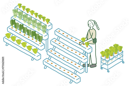 苗の植え付け　スマート農業　ベクターイラスト