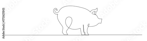Pig in continuous line art style