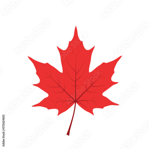 A vibrant red maple leaf a symbol of Canada and autumn seasons.