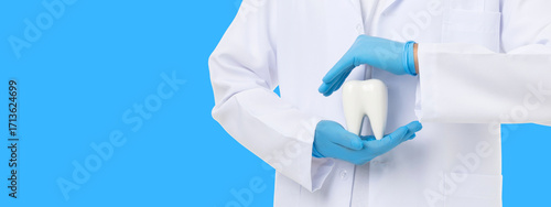 Doctor demonstrates oral health care holding a tooth model