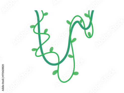 Tropical Jungle Tree Branch or Forest Thicket
