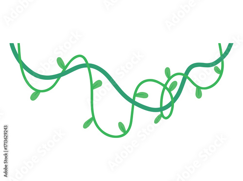 Hanging Vines or Tropical Jungle Liana Tree Branch Vines
