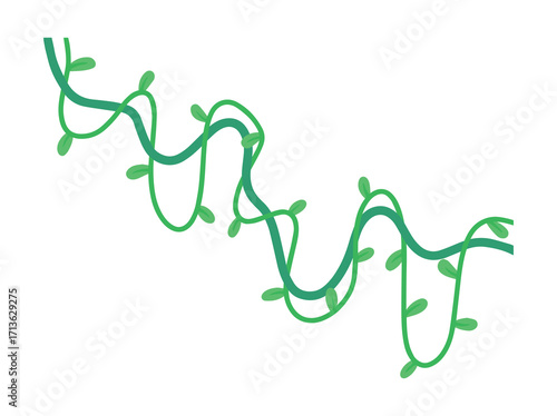 Hanging Jungle Leaves or Liana Branch Vines