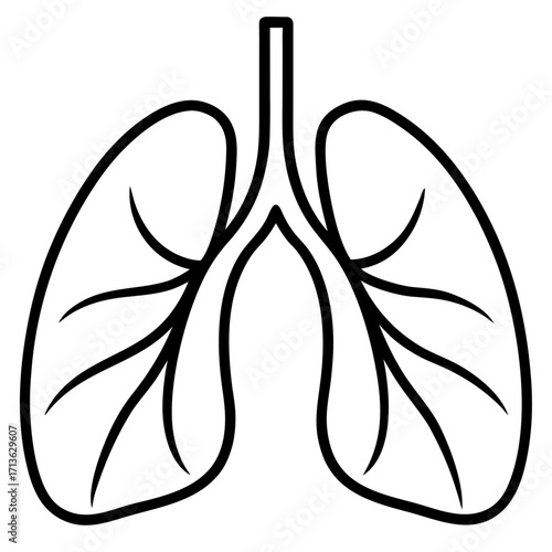 Stylized line drawing of human lungs with bronchi and branches on a white background