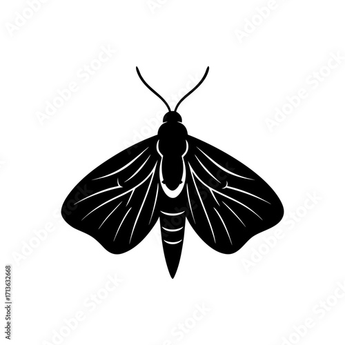Indian Meal Moth Pest