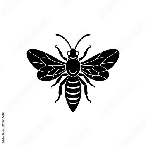 Long Horned Bee Pollinator