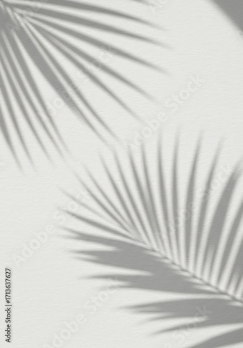 Shadowy palm leaf patterns on a light background.