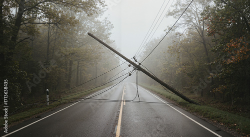 Fallen power lines across deserted road in foggy forest setting  
