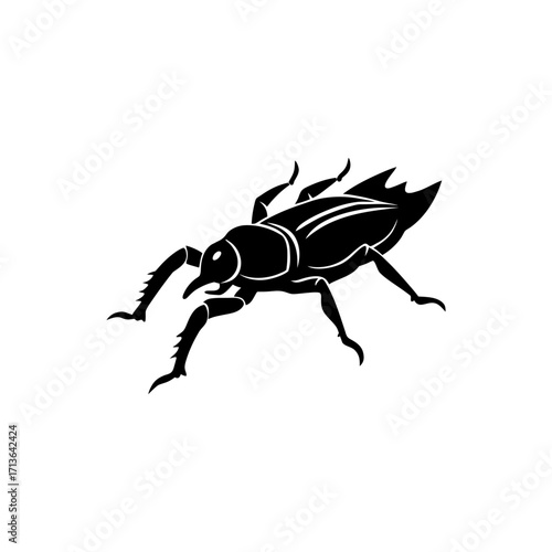 Rock Crawler Insect Rare