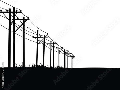 Utility poles with power lines stretching into distance, perspective view of electrical infrastructure, rural landscape with symmetry, depth, vegetation, overcast sky, industrial energy scene