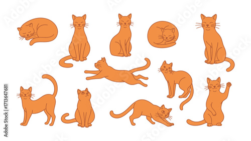 Orange Cat Collection in Diverse Poses: Explore the charm of multiple orange cats captured in a vibrant illustration.