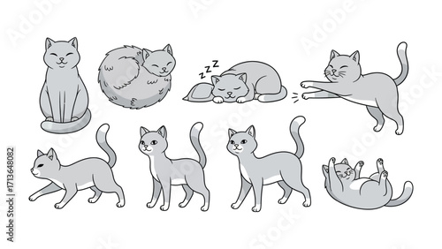 Various Gray Cat Poses: A delightful collection of illustrated gray cats in diverse poses, showcasing playful activities, sleep, and various positions that epitomize feline grace. 