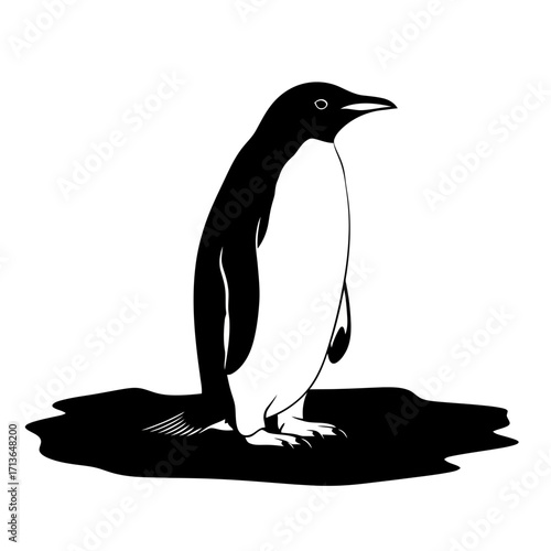 Penguin standing on ice silhouette isolated on white background