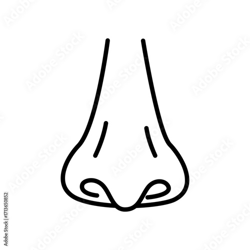 Simple outline icon of human nose. Minimalist line design for anatomy, smell, respiratory system, healthcare, and medical concept