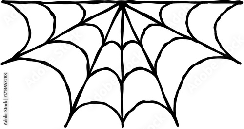 거미줄 데코라인