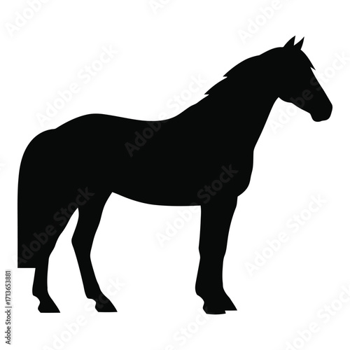 Majestic black silhouette of a standing horse elegant equine profile detailed outline