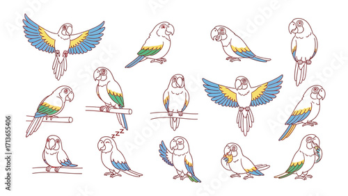 Parrot Cartoon Collection: A vibrant and dynamic illustration showcases a charming collection of cartoon parrots, captured with colorful, artistic flair. 